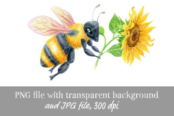 Bee with Sunflower Flower Watercolor PNG Design