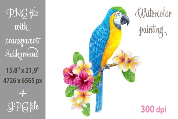 Parrot Ara Watercolor Tropical Flowers