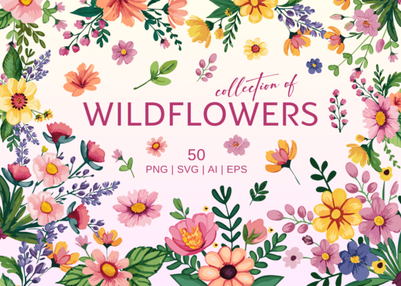 Wild Flowers PNG and Vector Collection for Design